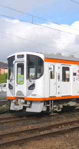 IC-1.JPG